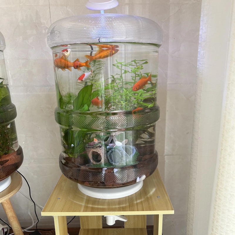 Instant Setup Home Fish Tank 3 - Aquarium Planted Set Up 评论和价格